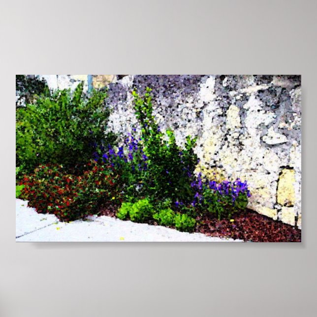 Alamo flowers poster (Front)