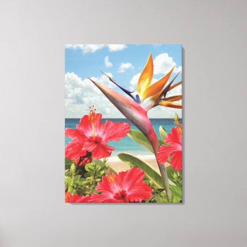 Alan Giana Hibiscus in Paradise Canvas Print