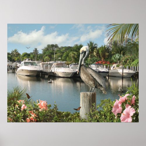 Alan Giana Pelican Cove  Poster