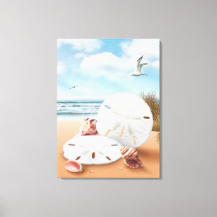Alan Giana "Sand Dollars" Canvas Print