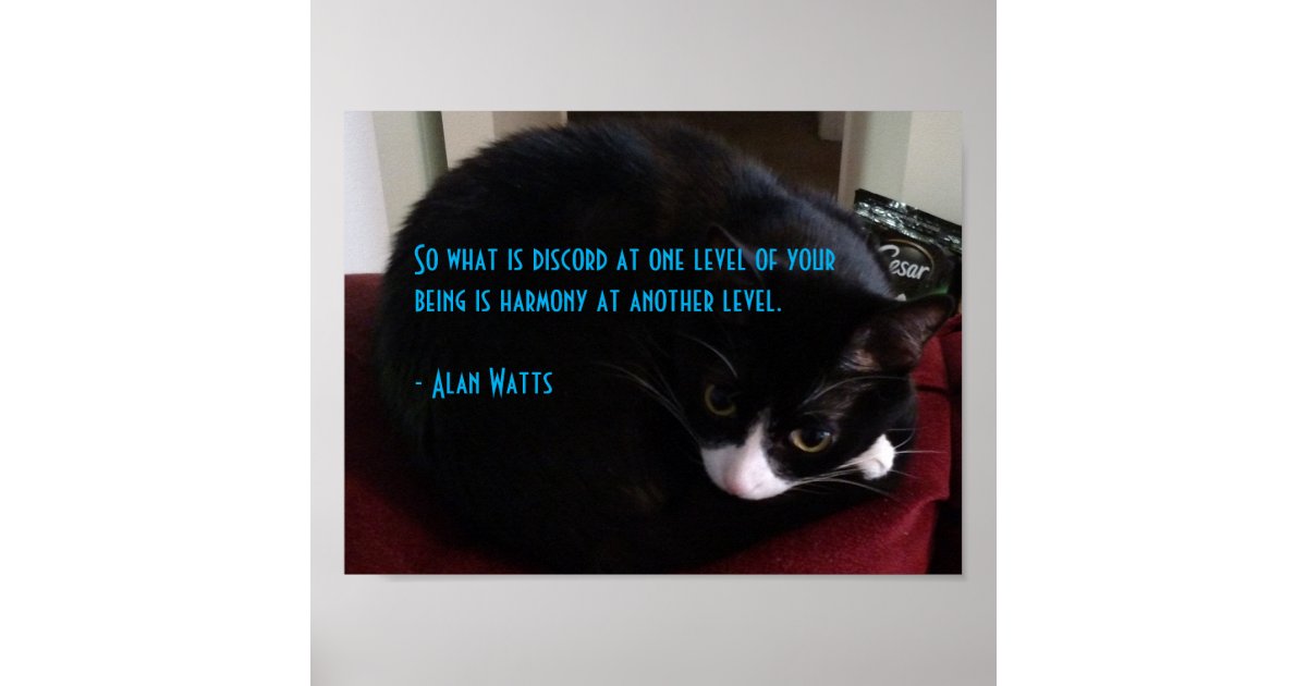 Alan Watts Quote 1 Poster | Zazzle.com