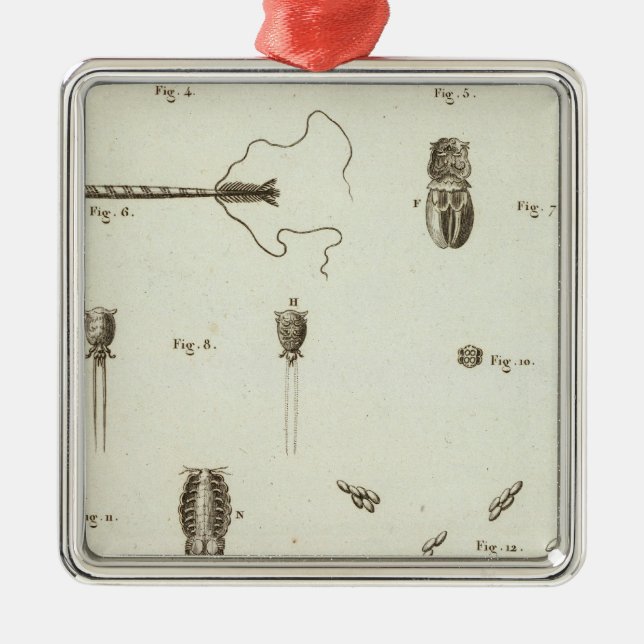 Alaska 3 metal ornament (Front)