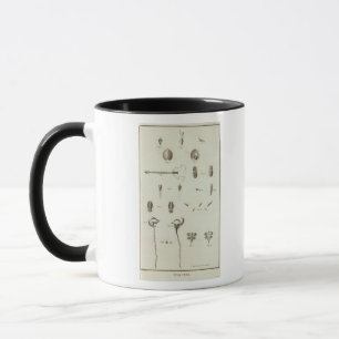Alaska 3 mug