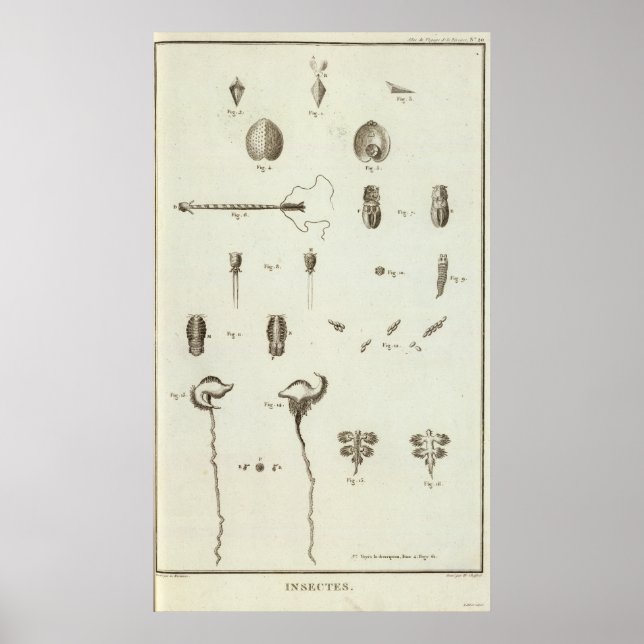 Alaska 3 poster (Front)