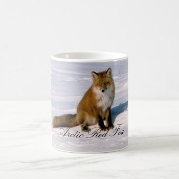 Alaska Arctic Red Fox Coffee Mug by ScrdBlueCollectibles at Zazzle