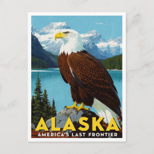 Alaska Bald Eagle Last Frontier Art Postcard