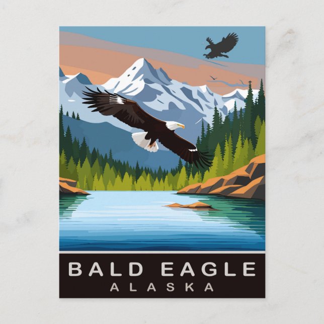 Alaska, Bald Eagle, Travel Postcard (Front)