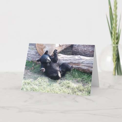 Alaska Black Bear Cub Greeting Card