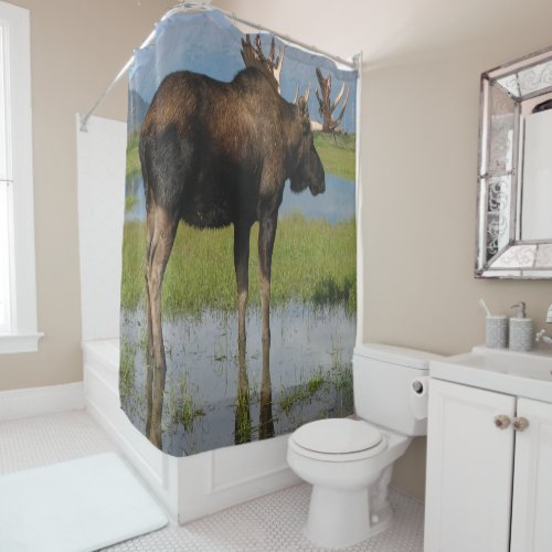 Alaska Bull Moose with Antlers Rack Outdoor Photo Shower Curtain
