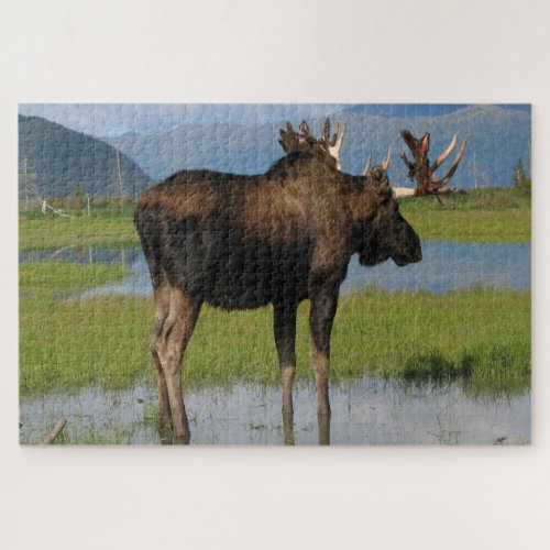 Alaska Bull Moose With Rack Antlers Scenic Outdoor Jigsaw Puzzle