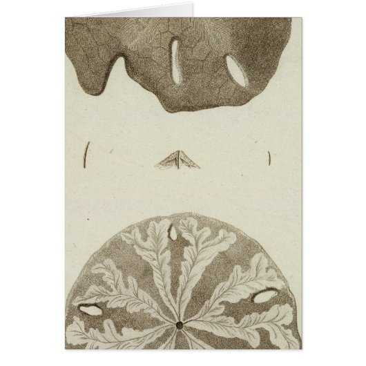 Alaska Cards (Front)