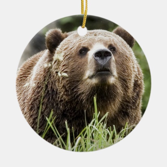 ALASKA CERAMIC ORNAMENT (Front)