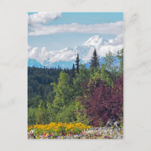 Alaska Denali Landscape Floral Photo Postcard