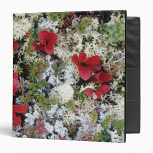 Alaska, Denali National Park, Arctic tundra is 3 Ring Binder