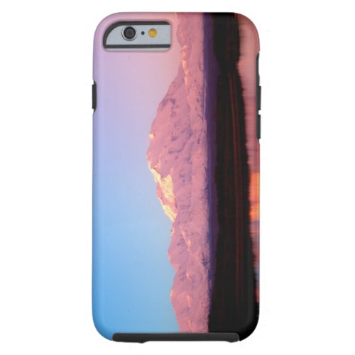 Alaska Denali National Park Mt McKinley at Tough iPhone 6 Case