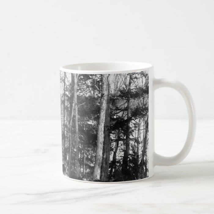 Alaska Dog Sledding Coffee Mugs