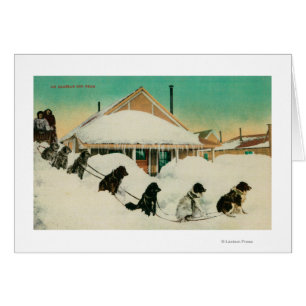 Alaska Dogsled Team resting in SnowState Cards