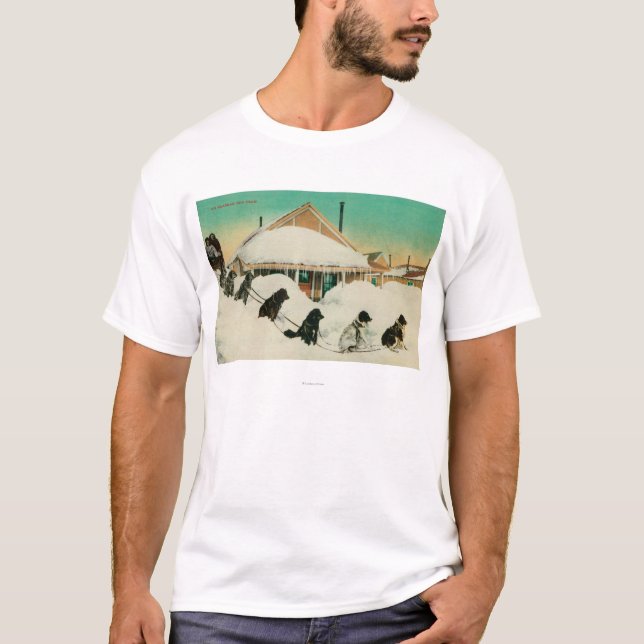 Alaska Dogsled Team resting in SnowState T-Shirt (Front)