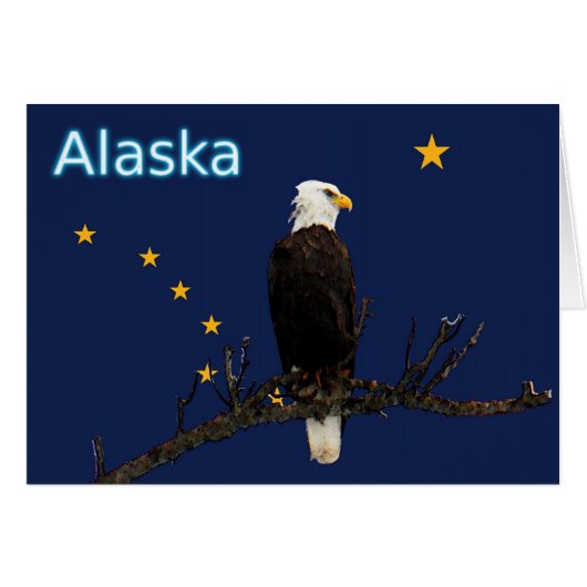 Alaska Eagle And Flag Cards (Front Horizontal)