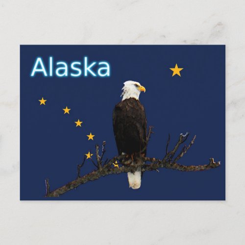 Alaska Eagle And Flag Postcard