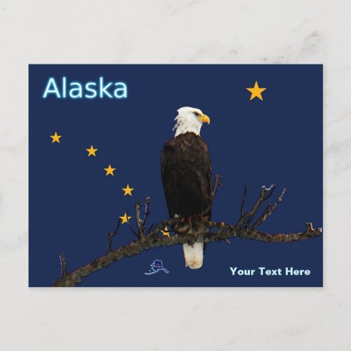 Alaska Eagle And Flag Postcard