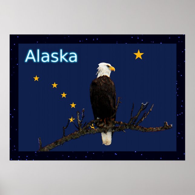 Alaska Eagle And Flag Poster (Front)