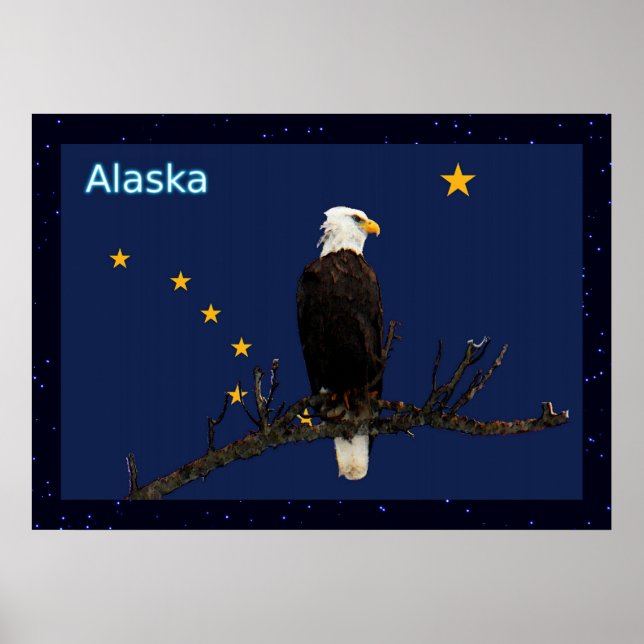 Alaska Eagle And Flag Poster (Front)