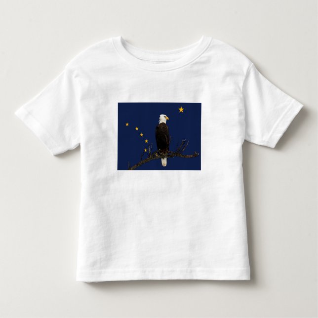 Alaska Eagle And Flag Toddler T-shirt (Front)
