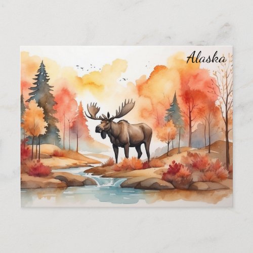 Alaska Fall Nature Watercolor Moose Travel Postcard
