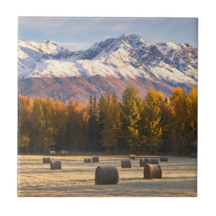 Alaska Farming Ceramic Tile