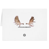 Alaska Glacier (Back Horizontal)