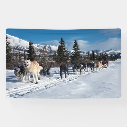 Alaska Husky Dog Sled Race Banner