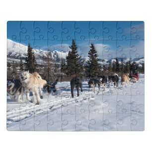 Alaska Husky Dog Sled Race Jigsaw Puzzle