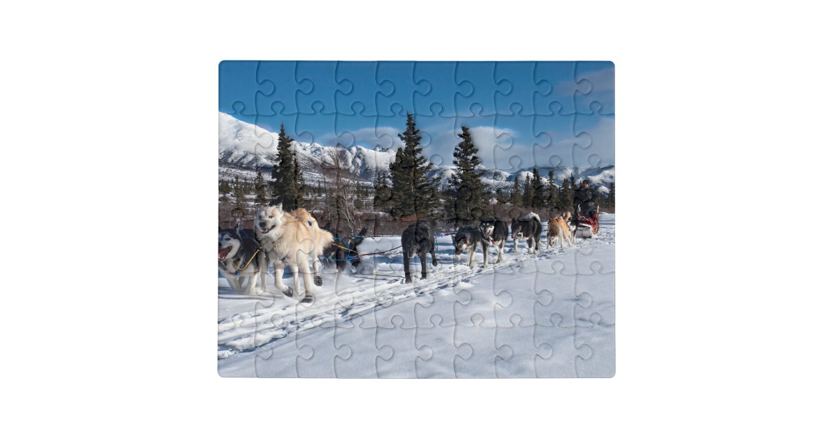Alaska Husky Dog Sled Race Jigsaw Puzzle Zazzle