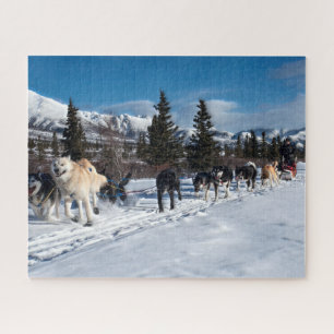 Alaska Husky Dog Sled Race Jigsaw Puzzle
