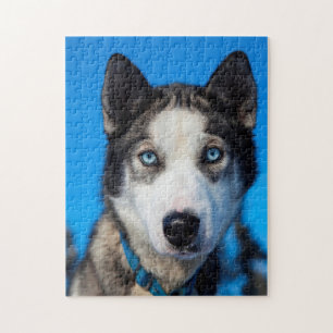 Alaska Husky. Jigsaw Puzzle