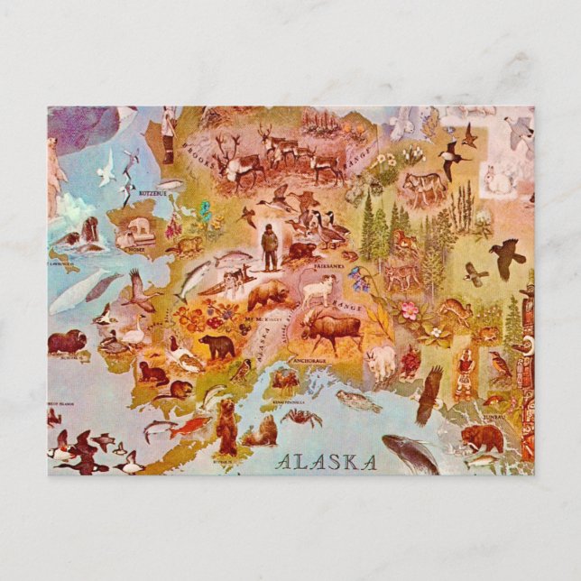 Alaska Illustrated Vintage Postcard (Front)