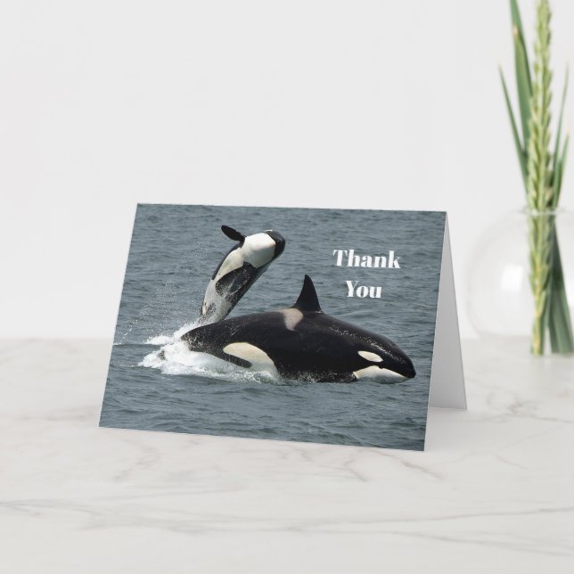 Alaska Killer Whale Photo Thank You Card (Front)