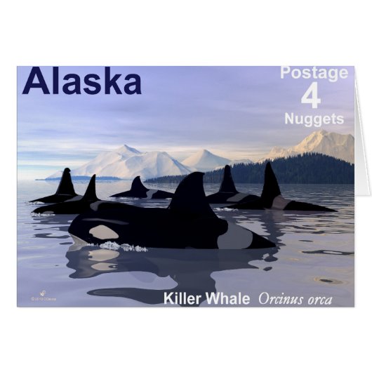 Alaska Killer Whales Stamp (Front Horizontal)