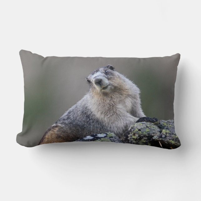 alaska marmot lumbar pillow (Front)