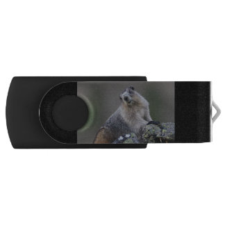 alaska marmot USB flash drive