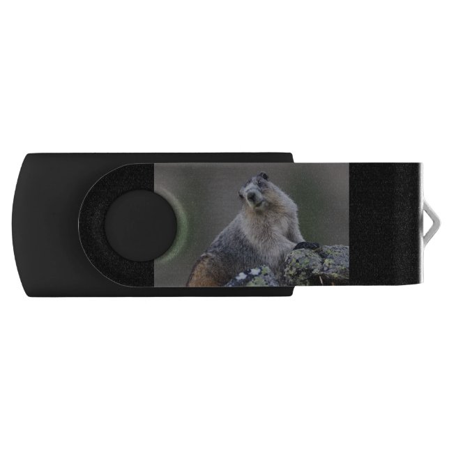 alaska marmot USB flash drive (Front)
