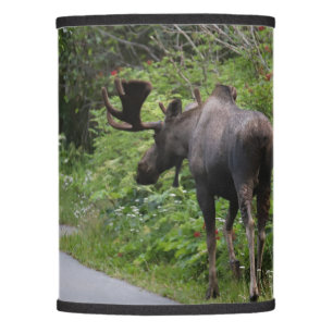 Alaska - Moose Lamp Shade
