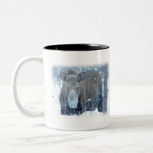 Alaska Moose Wildlife Photo Two_Tone Coffee Mug