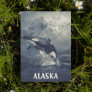 Alaska Mountains Killer Whale Orca Postcard