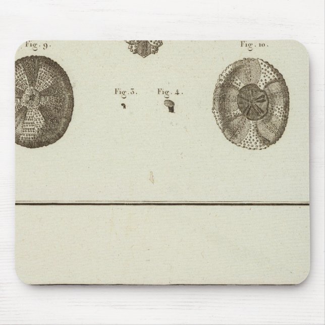 Alaska Mouse Pad (Front)