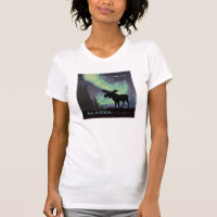 Alaska | Northern Lights Moose