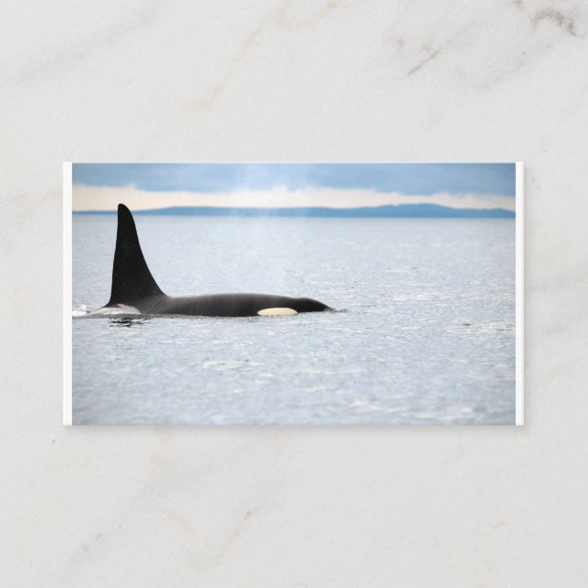 Alaska - Orca Business Card (Front)