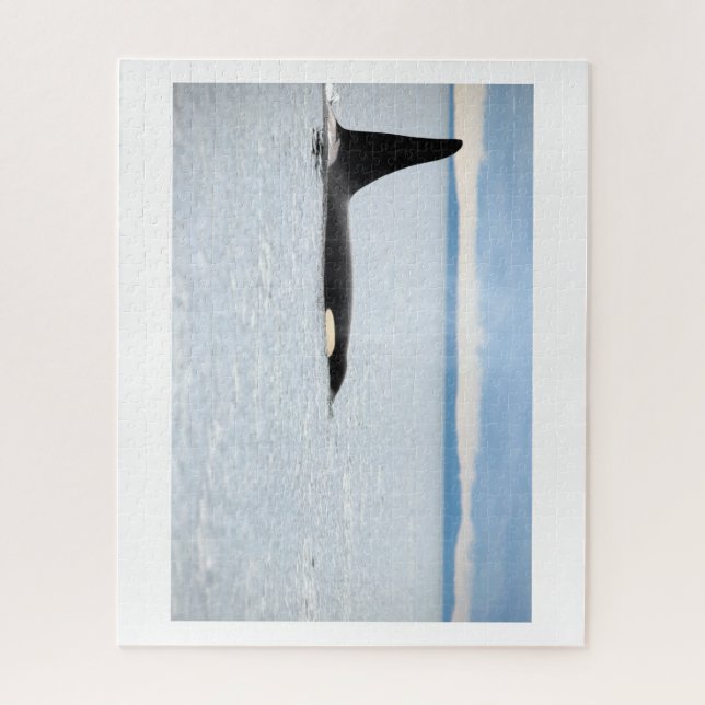 Alaska - Orca Jigsaw Puzzle (Vertical)