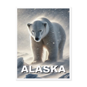 Alaska Polar Bear Snowstorm Postcard